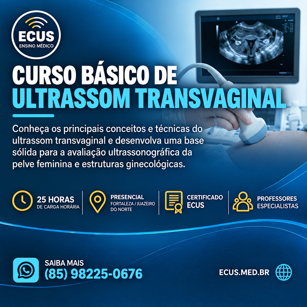Básico de Ultrassom Transvaginal